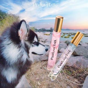 【Meizhu】10ml perfume
