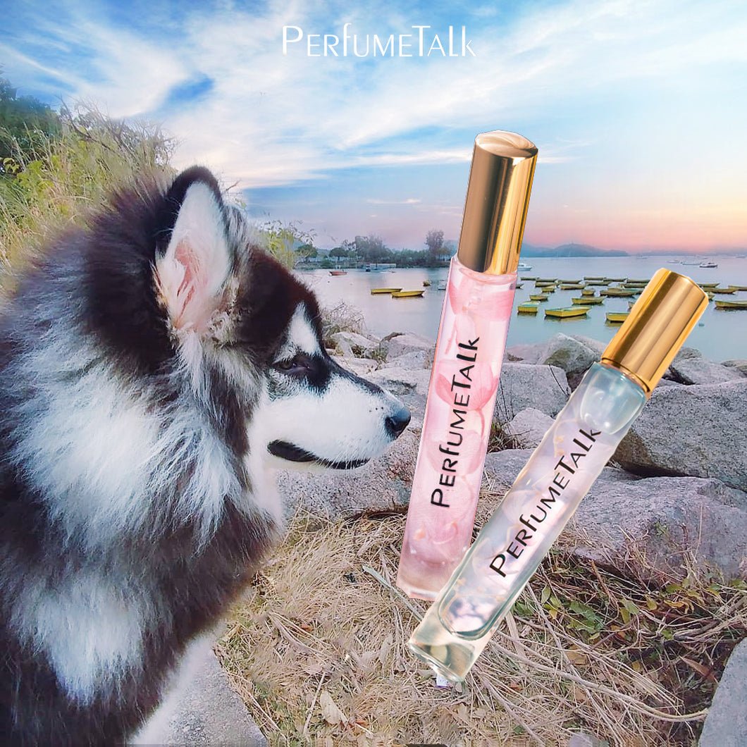 【Meizhu】10ml perfume
